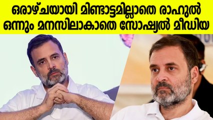 എക്‌സില്‍ സജീവമായിരുന്ന രാഹുലിന് എന്ത്പറ്റിയെന്നാണ് എല്ലാവരും ചോദിക്കുന്നത്.