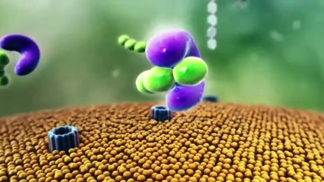 This Carb Does Not Spike Insulin I کیا کھائیں؟ I खून में शक्कर