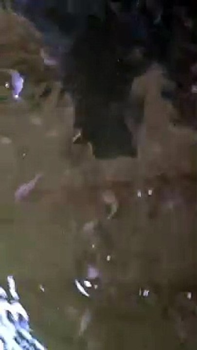 Tahapan belajar mitra kelas online di segmen pendederan tebar ukuran 2-3cm panen ukuran 5-7cm