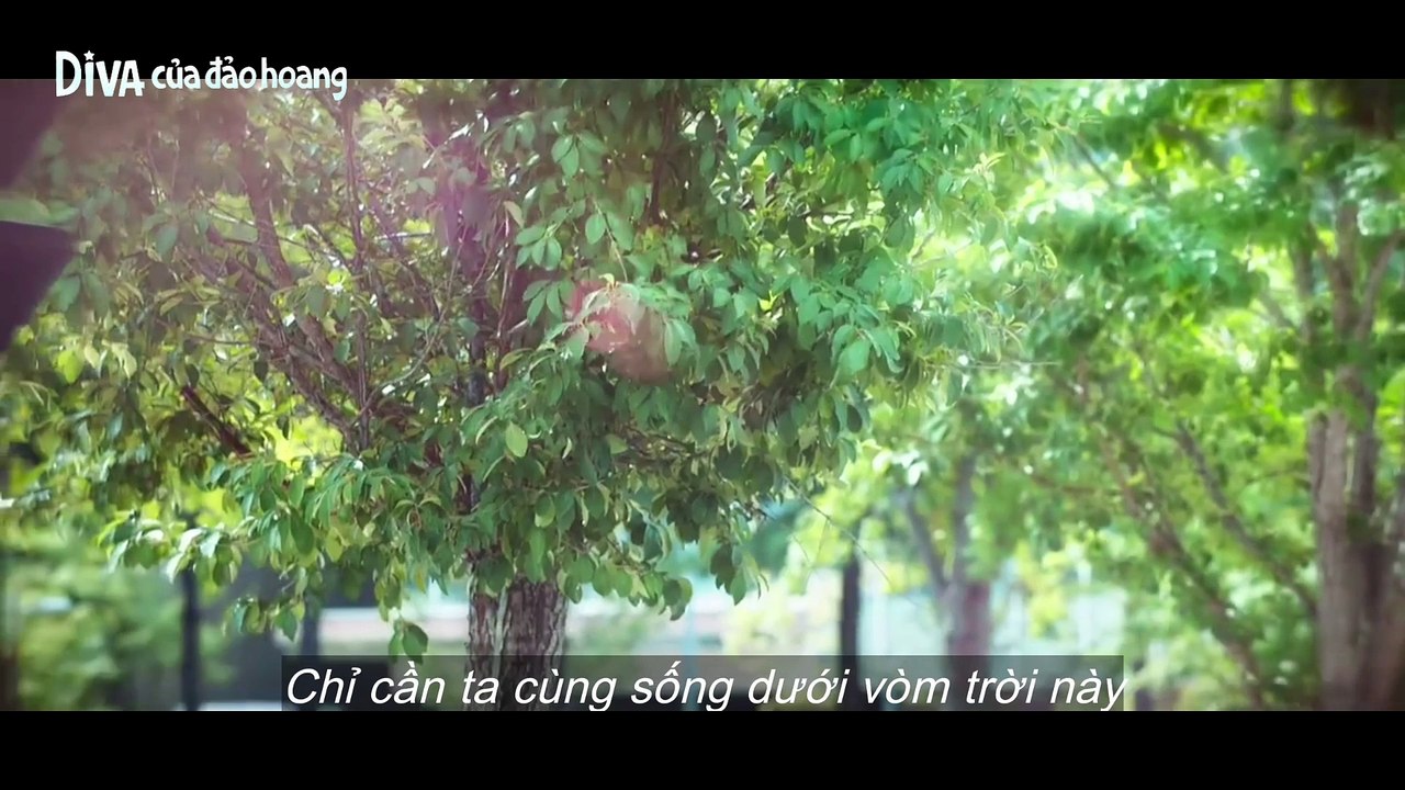 [DIVA CỦA ĐẢO HOANG] OST SOMEDAY, SOMEWHERE