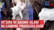Hitsura ng bagong-silang na kambing, pinagkaguluhan | GMA Integrated Newsfeed