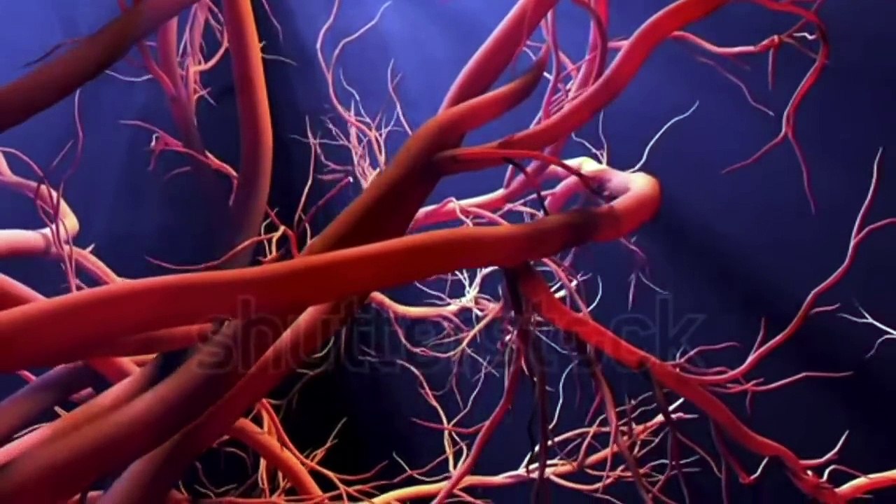 High Blood Pressure (The End of Hypertension) I रक्तचाप