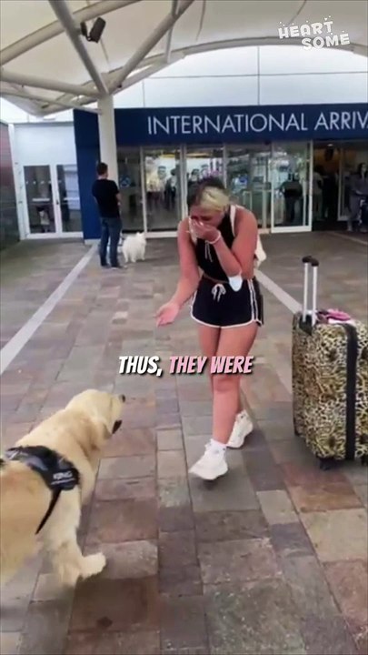 Heartsome Moment Between Girl and Adorable Doggo! | Magical Reunion