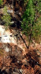 Air Terjun Sungai Kalipait