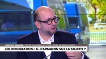 Ludovic Mendes : «Si le texte est rejeté, ça ne sera pas simplement un échec de Gérald Darmanin mais un échec collectif»