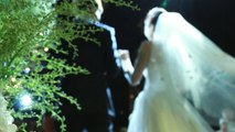 20대 여성 10명 중 2.7명만 결혼에 긍정적 [앵커리포트] / YTN