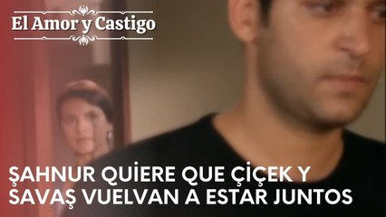Şahnur quiere que Çiçek y Savaş vuelvan a estar juntos | Amor y Castigo - Capitulo 24