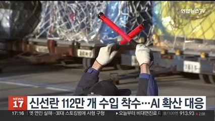 정부, 신선란 112만 개 수입 착수…AI 확산 대응