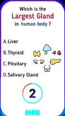 Human Body Facts Unveiled #humanbodyfacts  #generalknowledge  #sciencewonders  #curiousminds #shorts