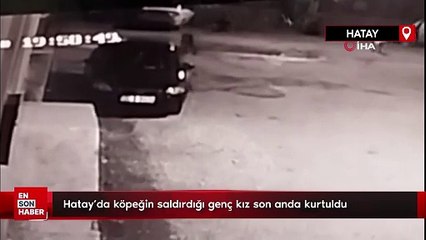 Hatay'da köpeğin saldırdığı genç kız son anda kurtuldu