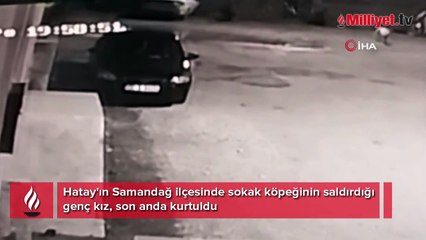 Köpeğin saldırdığı genç kız son anda kurtuldu