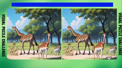 spot the diffrences: finde the diffrences || can finde all?.