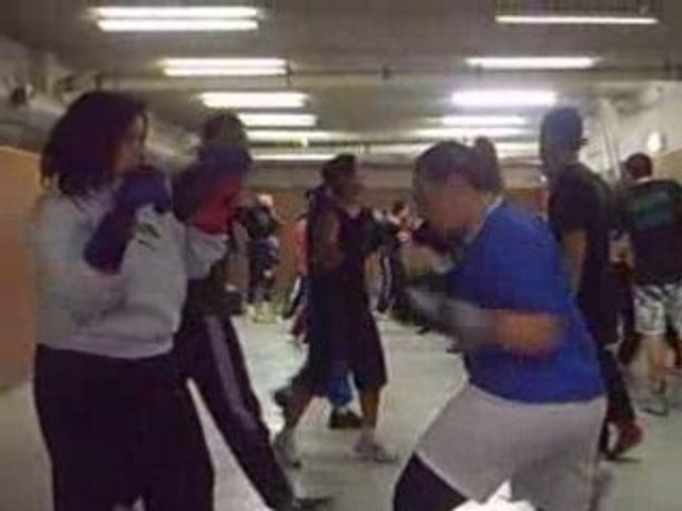 Boxe anglaise 2 012