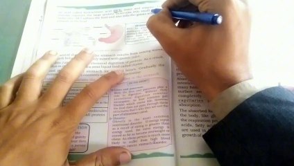 Chapter One Digestive Organ System.