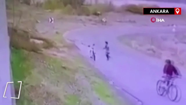 Ankara'da bisiklet süren çocuğa başıboş köpek saldırdı