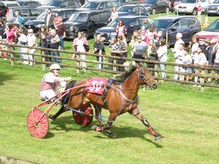 Wales and Borders Harness Racing - Review of 2023 Racing season