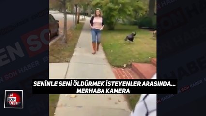 Harvard profesörünün eşinden kefiye takan öğrenciye sözlü taciz