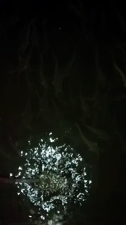 Perawatan air kolam dengan cara dikocor pada malam hari itu cukup efektif menambah oksigen