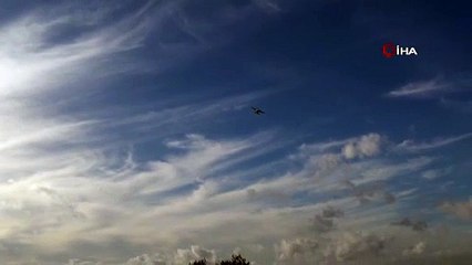 DENİZE Mİ DÜŞTÜ?