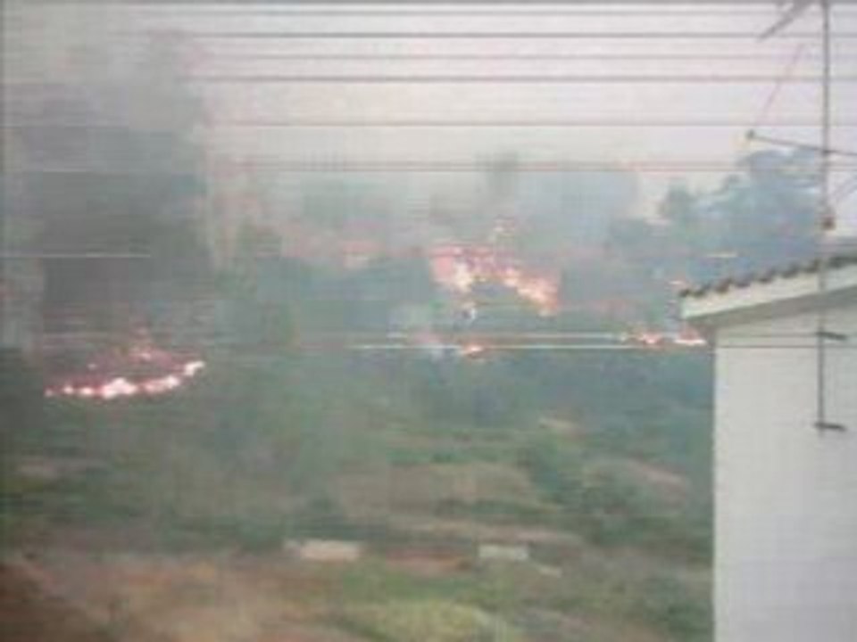 figueiro dos vinhos casal velho fogo