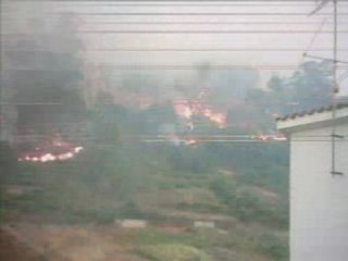 figueiro dos vinhos casal velho fogo