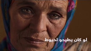 Film Marocain 2024 | إعلان الفيلم المغربي لو كان يطيحو لحيوط