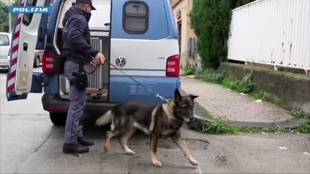 L'operazione contro le gang giovanili, a Palermo gli arrestati sono tre