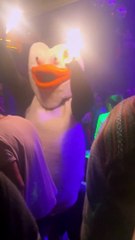Nightclub Penguin Catches Fire