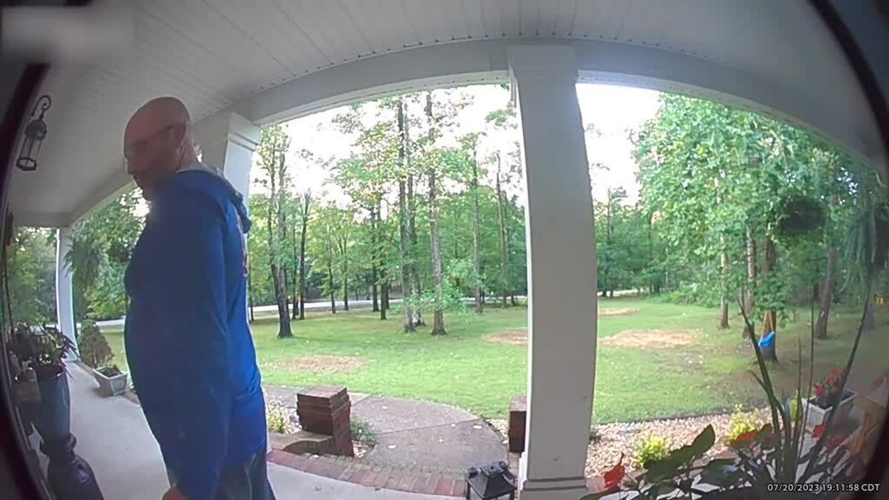 Man Gets Hit in Head When Dog Jumps on Door video Dailymotion