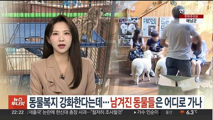 동물 복지 강화한다는데…남겨진 동물들은 어디로 가나