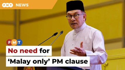 No need for ‘Malay only’ PM clause in constitution, says Anwar