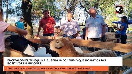 Encefalomielitis Equina el SENASA confirmó que no hay casos positivos en Misiones