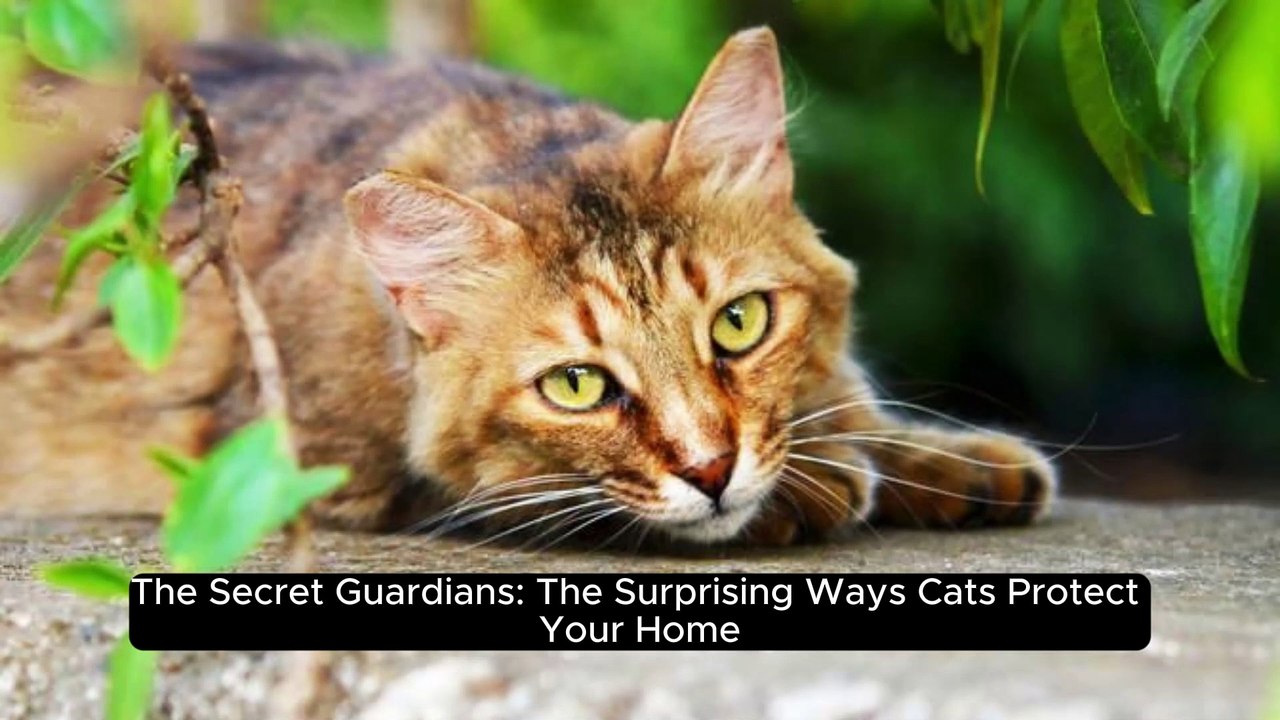 The Secret Guardians: The Surprising Ways Cats Protect Your Home