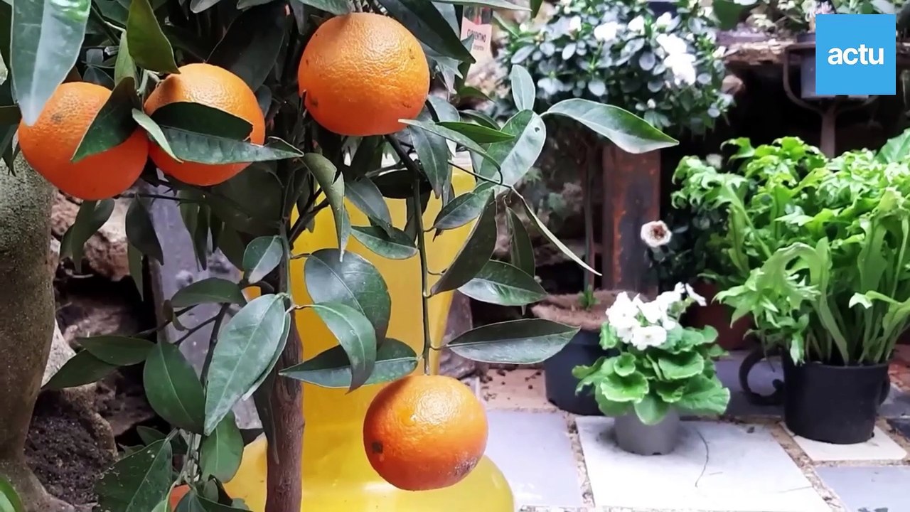 Steevy Boulay ouvre son commerce au Mans