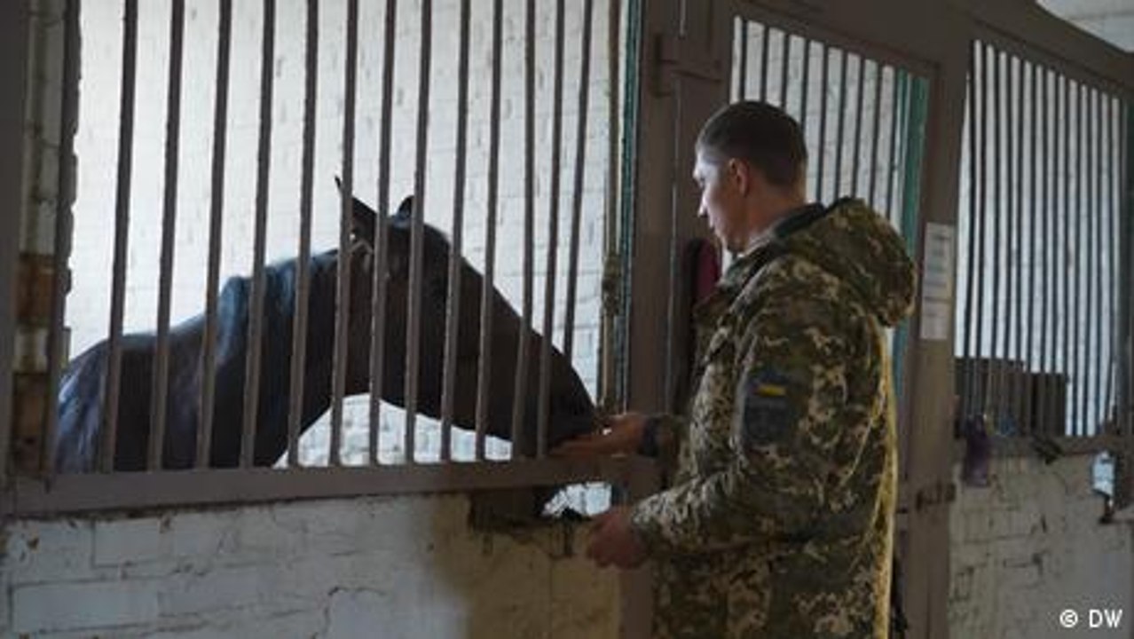 Traumabewältigung für ukrainische Soldaten