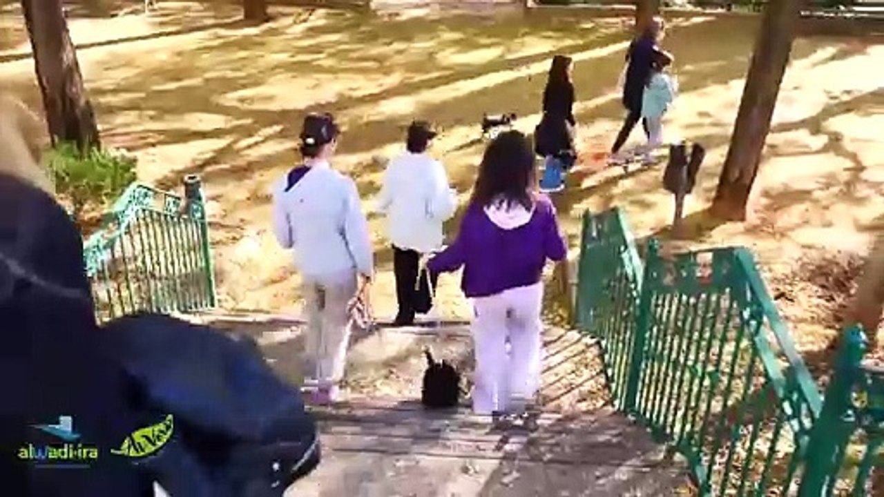 Los jóvenes de Alcalá de Guadaíra comprometidos con el cambio climático