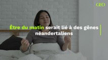 Être du matin serait lié à des gênes néandertaliens