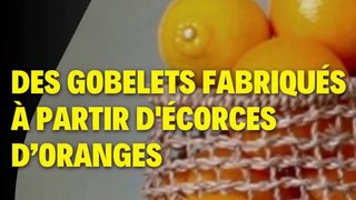 Des gobelets fabriqués à partir d'écorces d’oranges