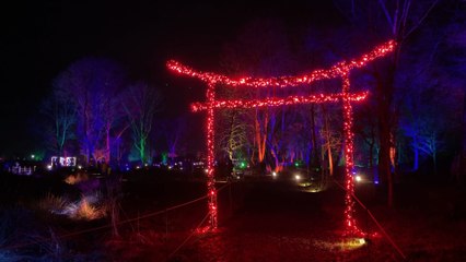 We explore an enchanting light trail at RHS Garden Bridgewater in Greater Manchester