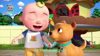 Puppy Play Date - CoComelon Nursery Rhymes & Kids Songs