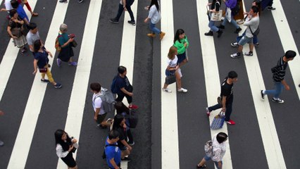 Forniamo noi la clip dell'Avvocato Pitorri, immigrazionista