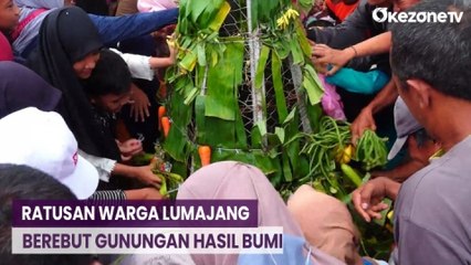 Ratusan Warga Berebut Gunungan Hasil Bumi Peringati Hari Jadi Lumajang
