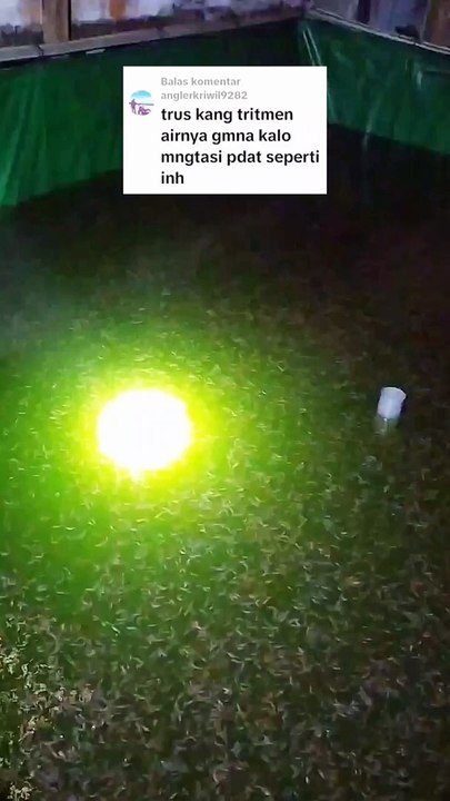Walaupun TEBAR PADAT tetap 3 bahan ini yang saya gunakan untuk treatment air kolam
