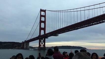 Blue and Gold Fleet Bay Tour - Under Golden Gate Bridge