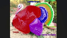 Tutorial - Turkey Color Identification