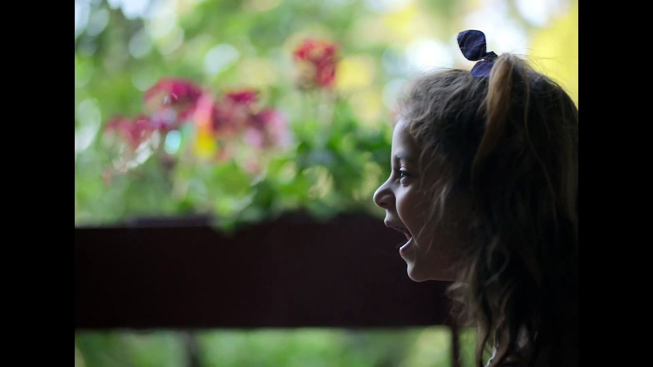 Housekeeping for Beginners Official Trailer Vídeo Dailymotion