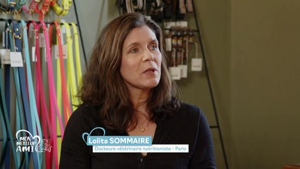 Mon meilleur ami - 15/12/2023 - Le surpoids animal