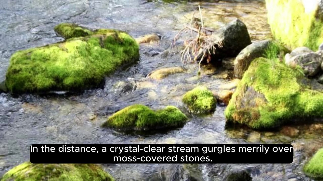 Breathe Deep, Let Go: Immerse Yourself in Nature's Tranquil Melody