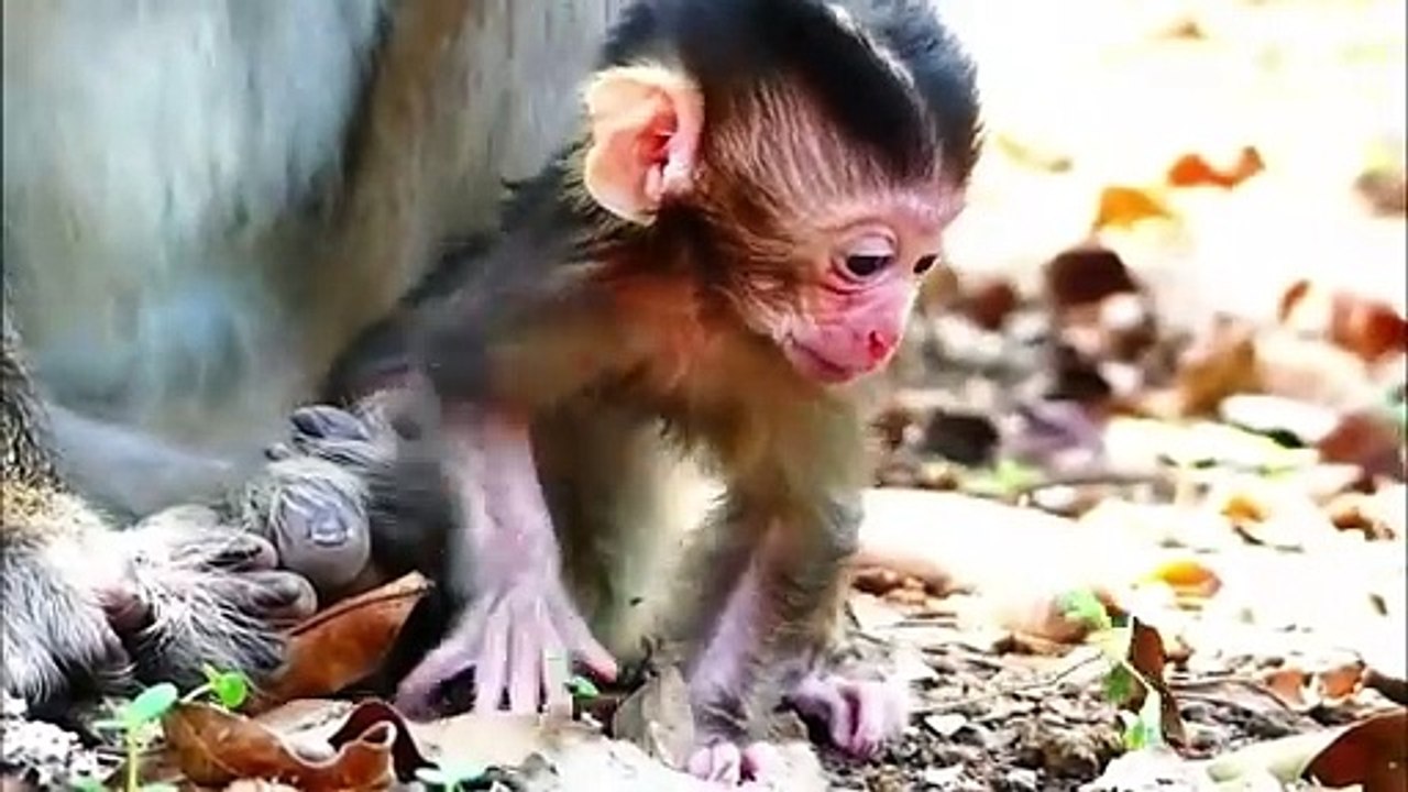 Lovable newborn baby is pushed by mother to the ground, Joanna feel baby disturbing her (720p_25fps_H264-192kbit_AAC)