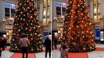 Christmas tree sprayed orange by climate activists in Berlin